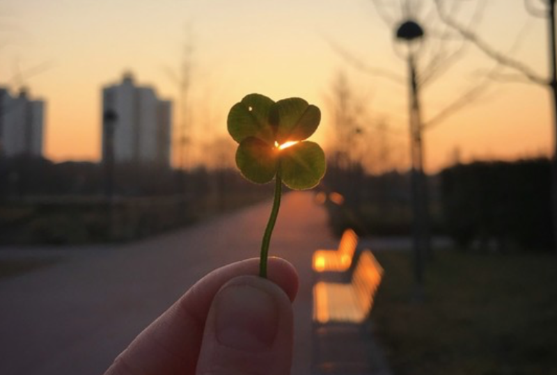 REFLECTIONS ON SPIRITUAL RESURRECTION