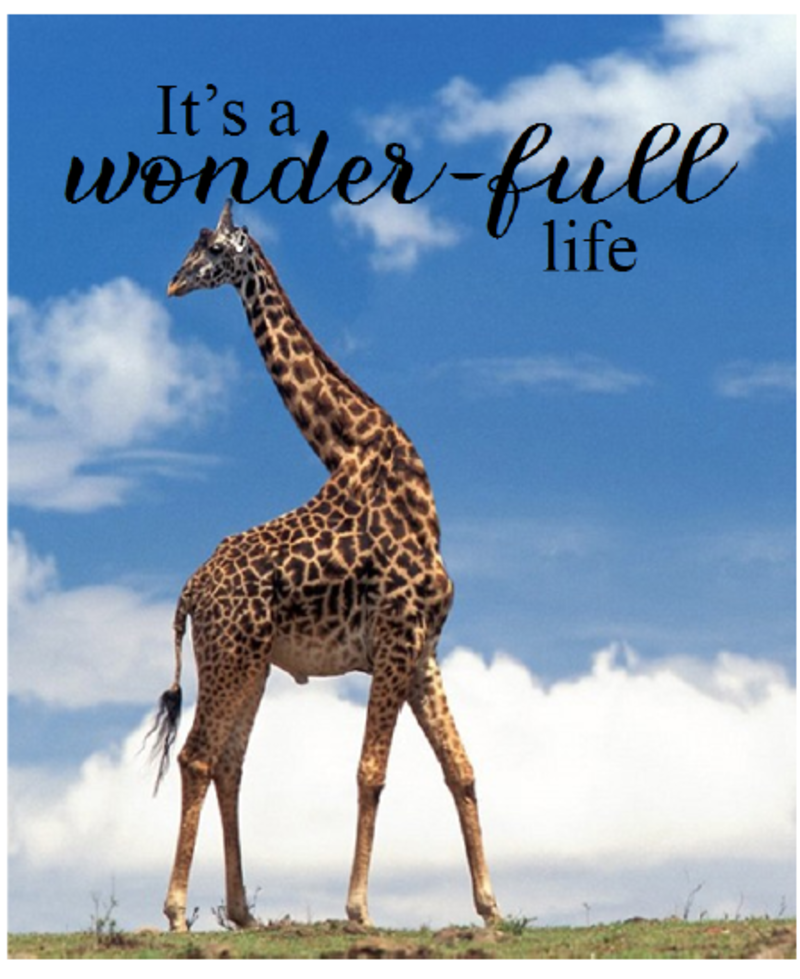 IT'S A WONDER-FULL LIFE