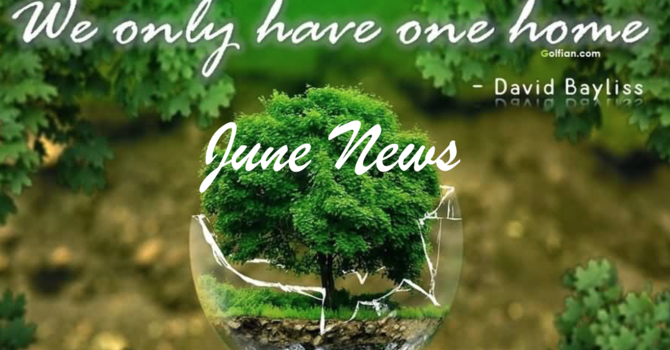 JUNE NEWS image