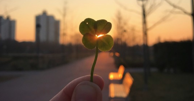 REFLECTIONS ON SPIRITUAL RESURRECTION