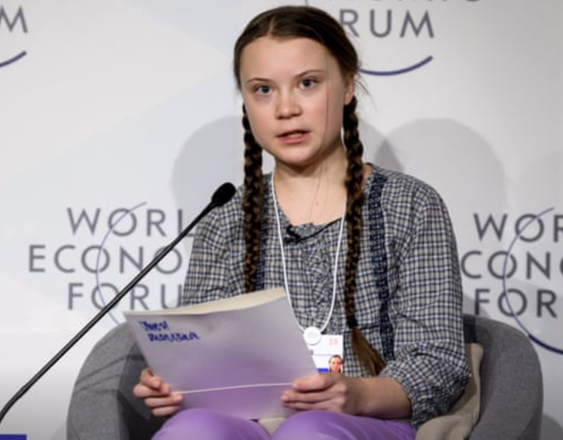 To Live with Respect in Creation