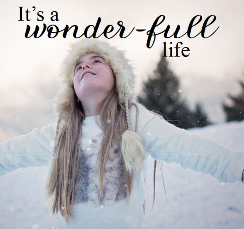 Looking Out with Gratitude