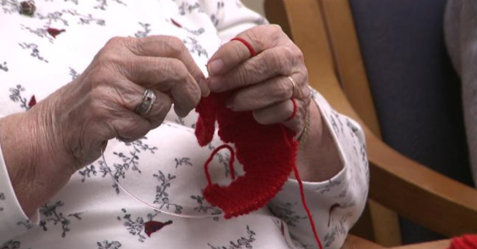 LIVING WITH GOD IN CREATION