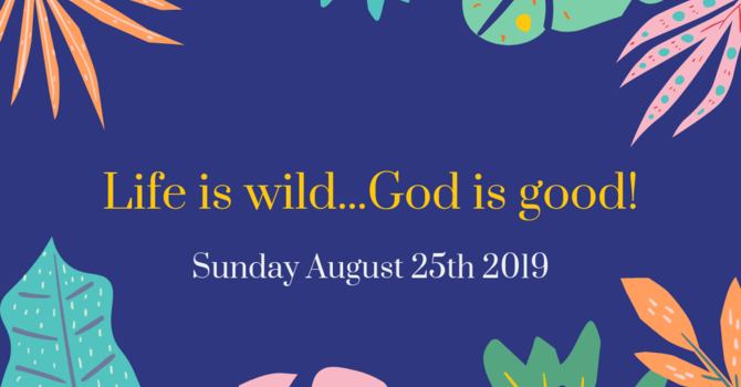 Sunday Bulletin - August 25th 2019 image