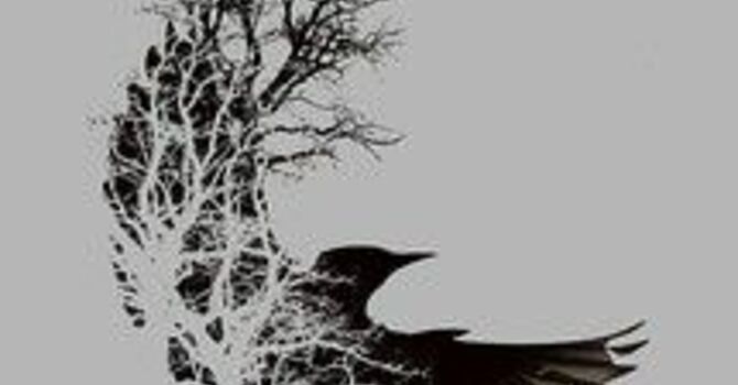 Sunday Bulletin - August 7, 2016 image