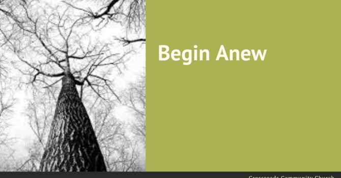 Begin Anew
