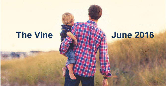 June Vine  image