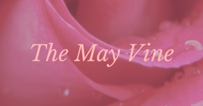 May Vine image