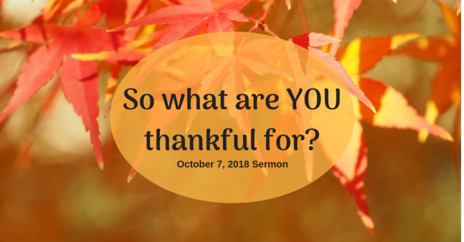 So What are YOU Thankful For?