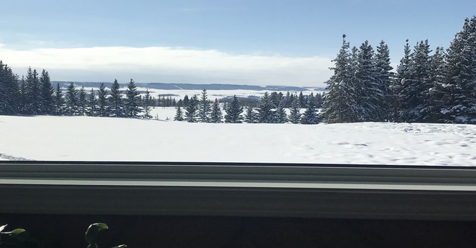 MARCH 2018 NEWS image