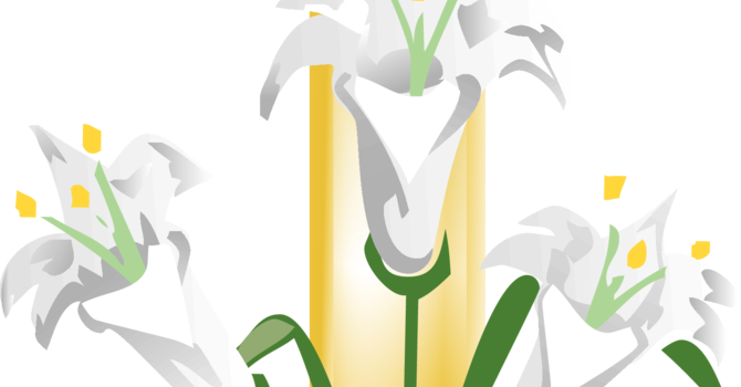 Feb 21 st Weekly Bulletin image