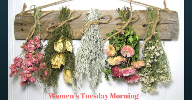 Women's' Bible Study