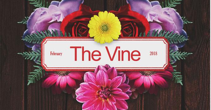 The Vine - February 2018 image