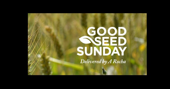 Creation and the Gospel