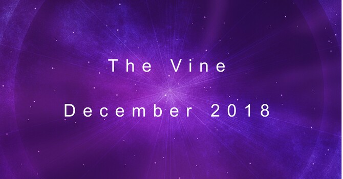 The December Vine image