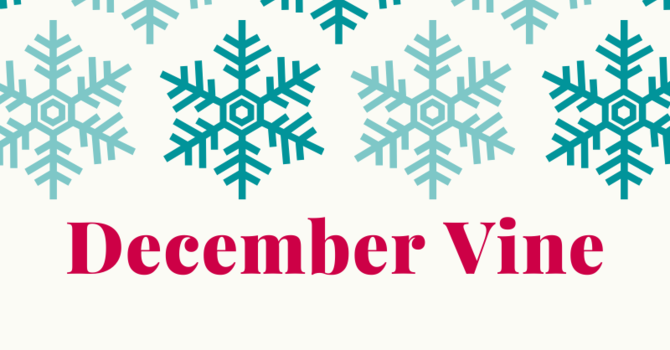 DecemberVine image