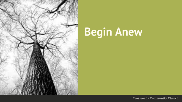 Begin Anew