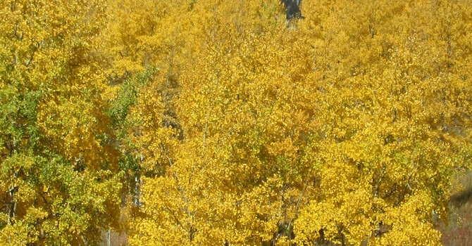 October Newsletter image