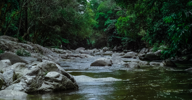 Sunday Bulletin - June 12, 2016 image