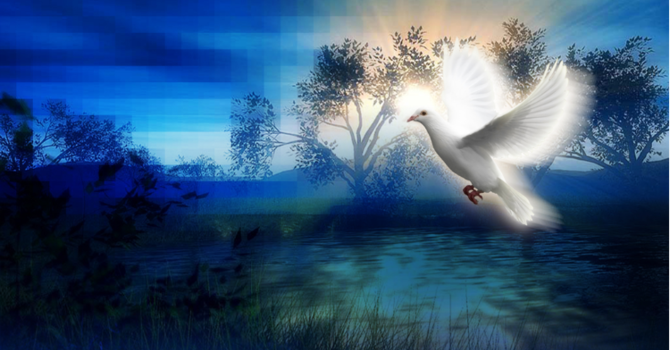 Sunday Bulletin - May 21, 2017 image