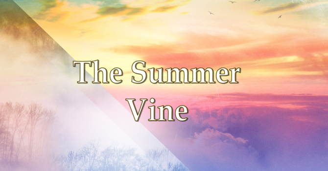 The Summer Vine image