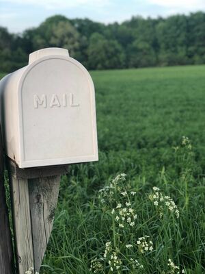 You've Got Mail