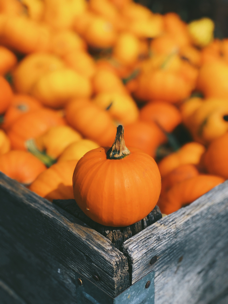 October Sunday Fall Sermon