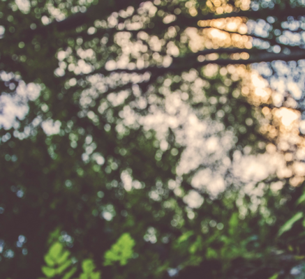 Experiencing God Series