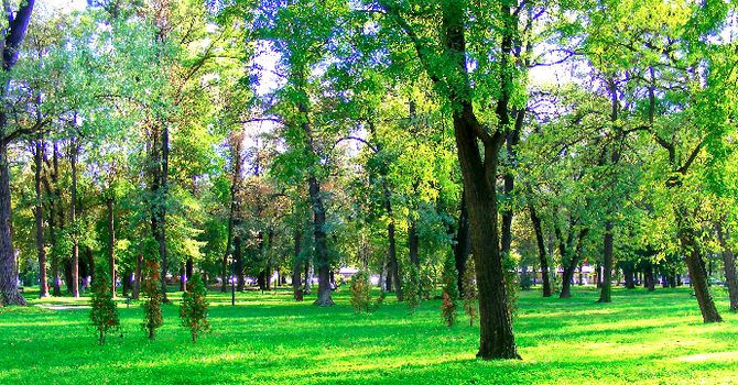 Parks & Recreation image