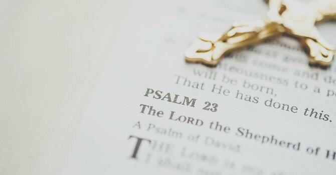 Life is hard than you die