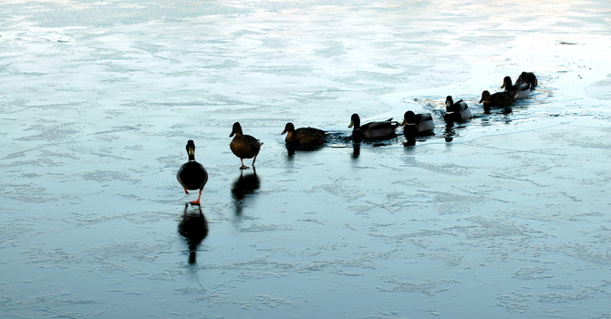 More than All We Ask or Imagine image