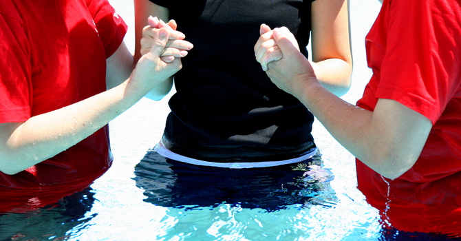 A Thanksgiving of Baptisms image