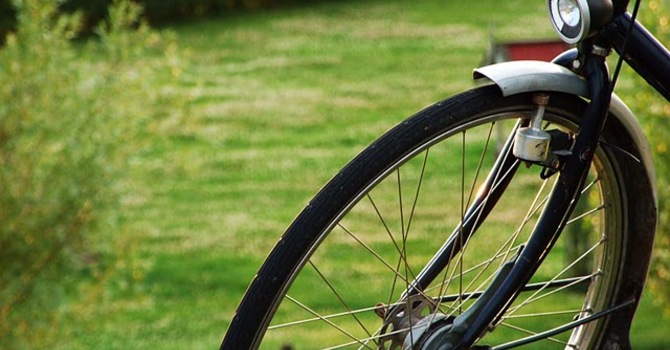 Through the eyes of youth image