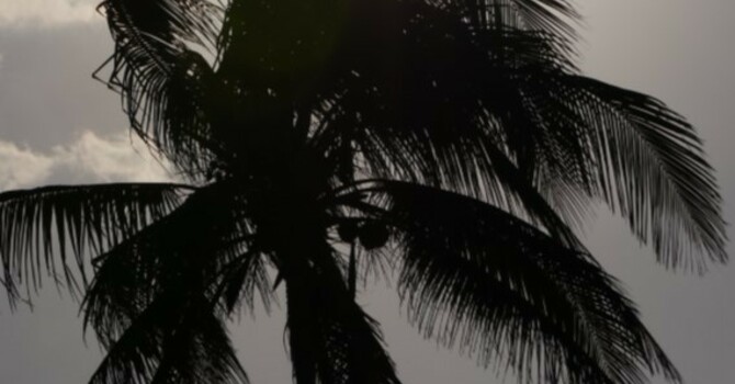 Announcements - April 14, 2019 image