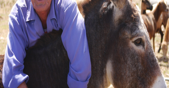 Announcements June 17, 2018 image