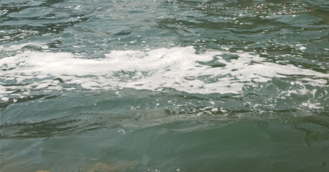 Announcements June 24, 2081 image