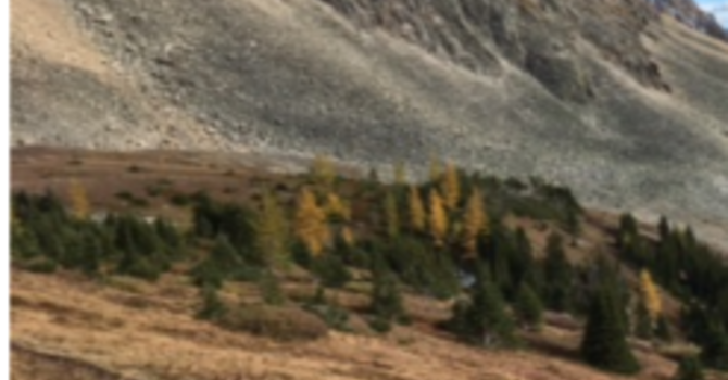 Announcements - March 3, 2019 image