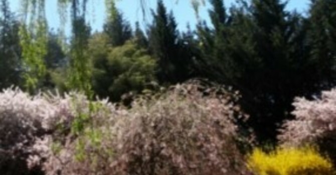 Announcements - June 23, 2019 image