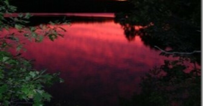 Announcements - March 24, 2019 image