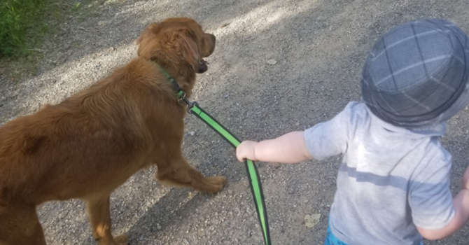 Announcements - January 6, 2019 image