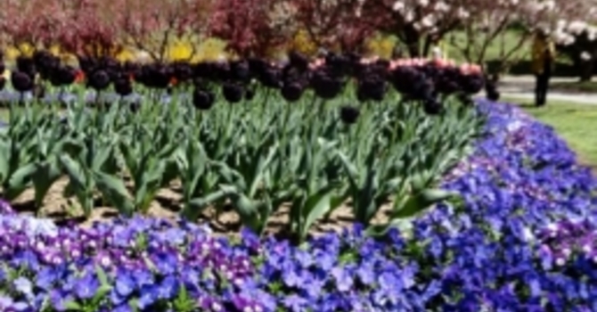 Announcements September 4, 2016 image