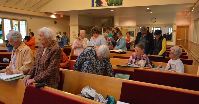 Blessing of Pets image