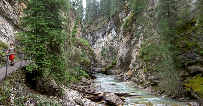 Announcements February 4, 2018 image