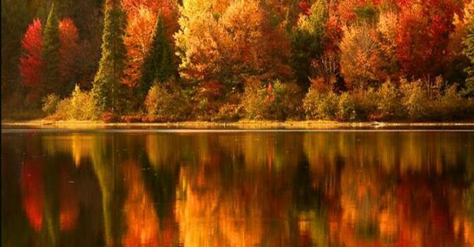 Announcements September 17, 2017 image