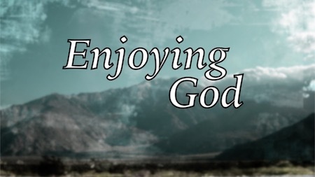 Enjoying God Series