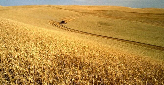 Fields of Harvest Church image