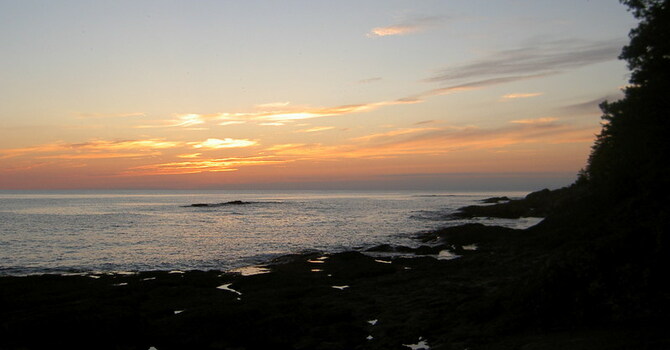 Announcements January 14, 2014 image