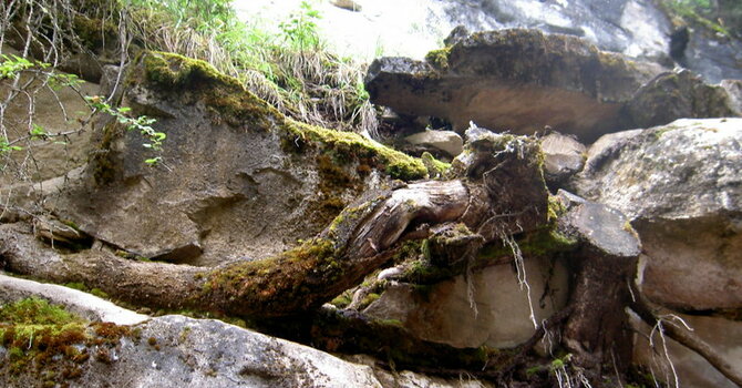 Announcements February 25, 2018 image