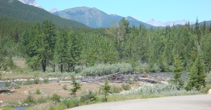 Announcements April 8, 2018 image