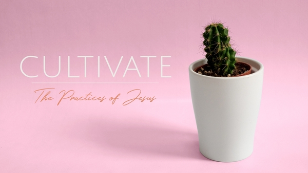 Cultivate